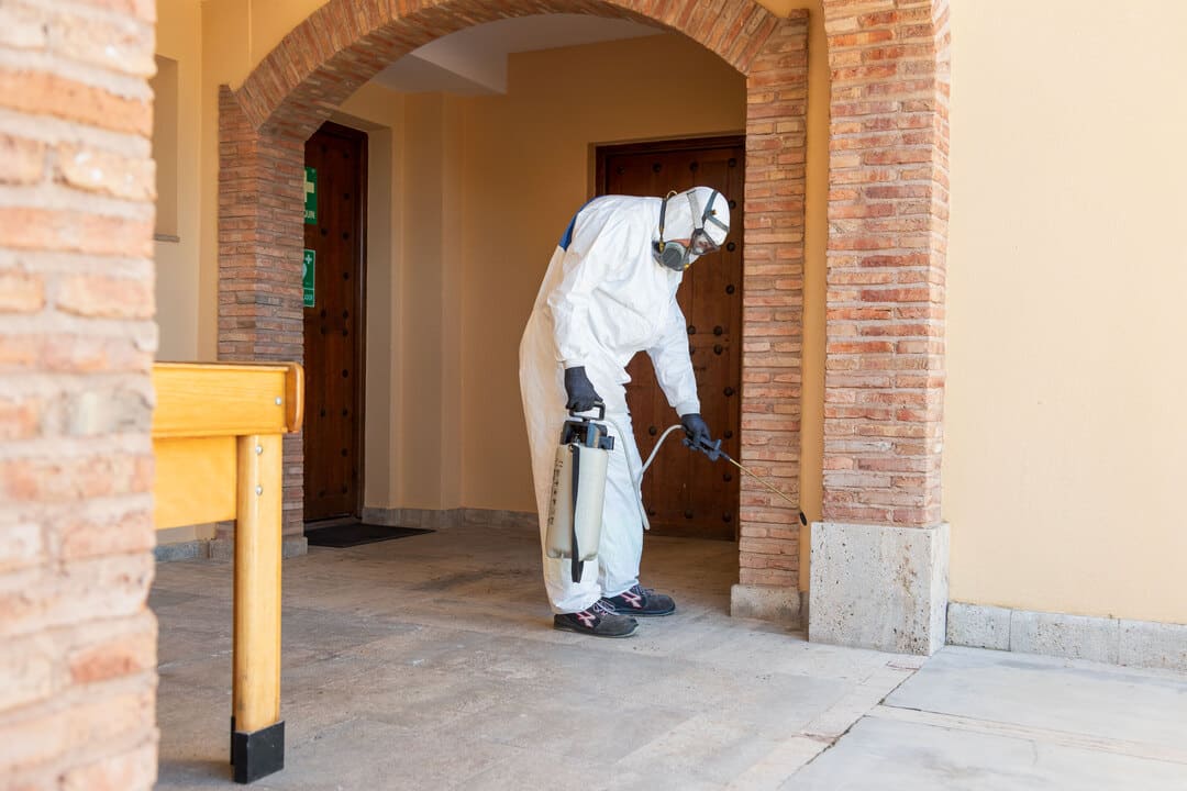 DESINSECTACIÓN HORMIGAS