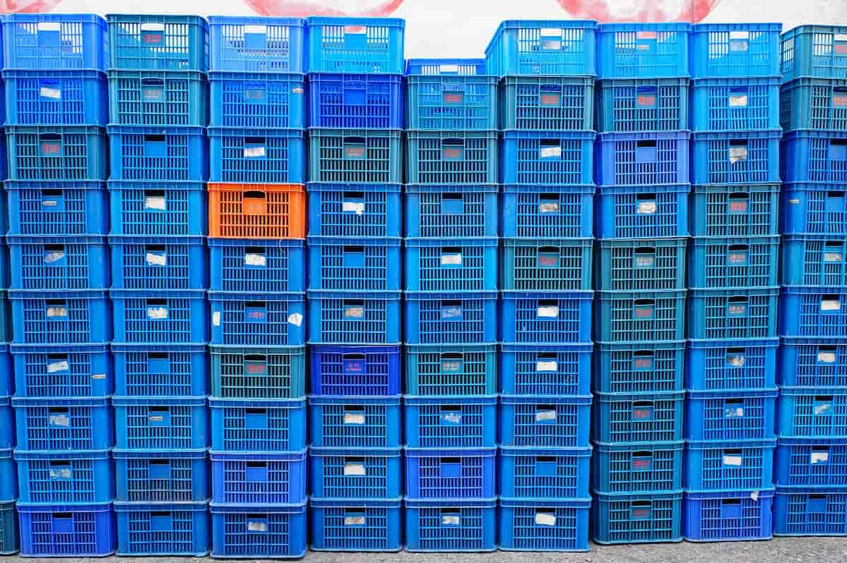 Control de plagas en almacenes 2 cestas logistica control plagas almacen rayokill