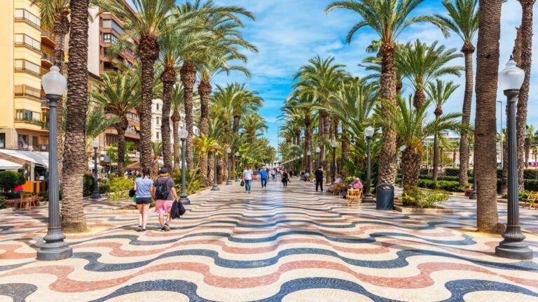 control de plagas en alicante