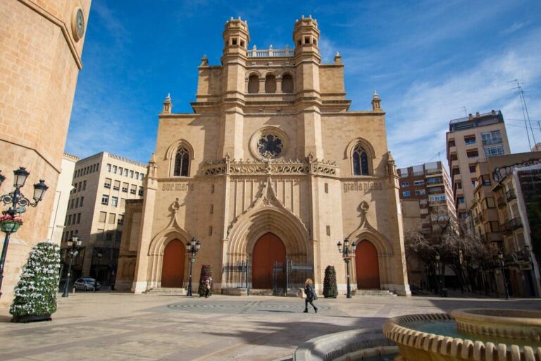 control de plagas en castellon