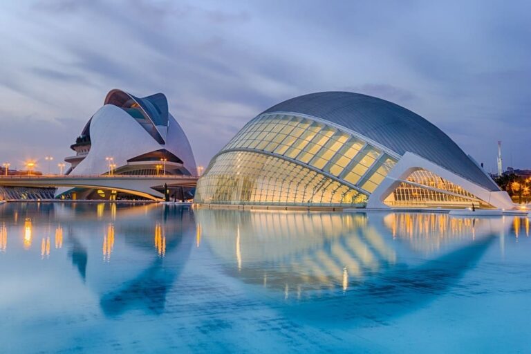 control de plagas en valencia