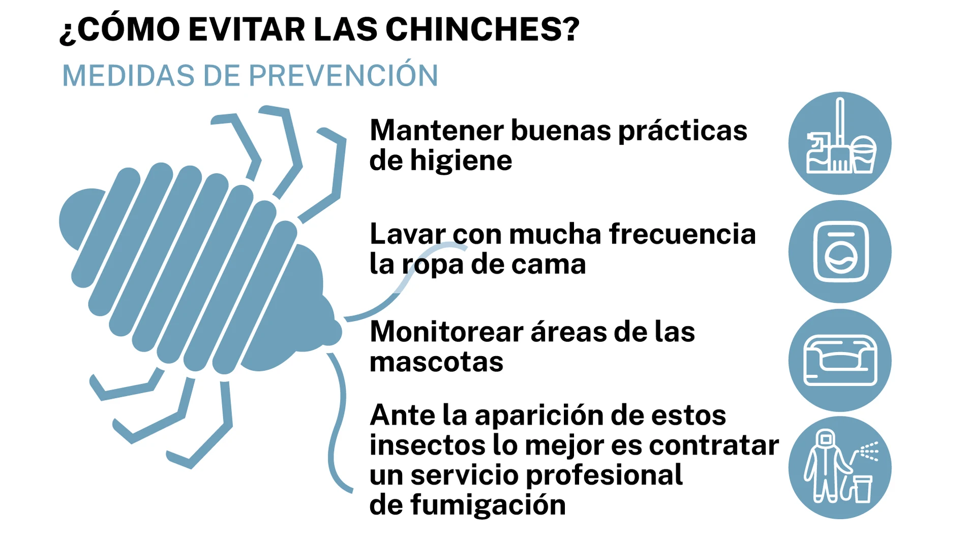 prevencion chinches de cama