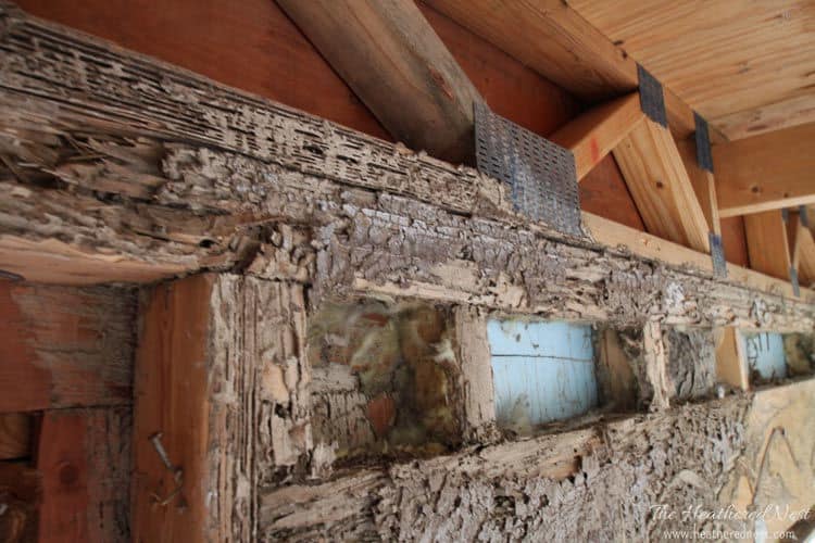 termitas dañan estrucutra de una casa