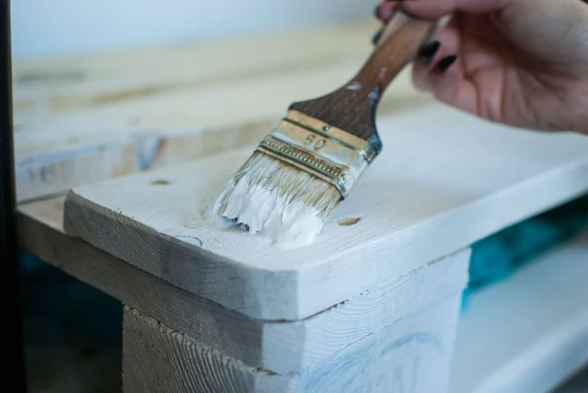 Bichos de la madera, ¿qué son y cómo eliminarlos? 1 tratamiento bichos madera rayokill