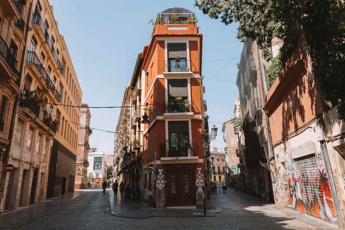 Empresas de plagas de ratas en Valencia: descubre Rayokill 1 valencia ratas rayokill